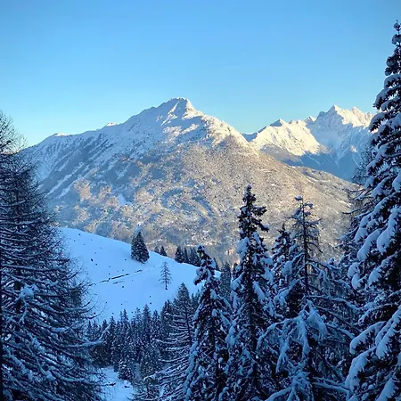 Haus Gamper-haselwanter *