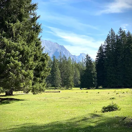 Haus Gamper-haselwanter 公寓