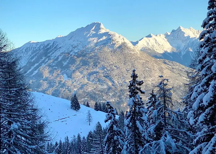 Haus Gamper-haselwanter *